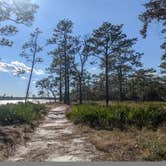 Review photo of Ochlockonee River State Park Campground by Laura M., February 15, 2022