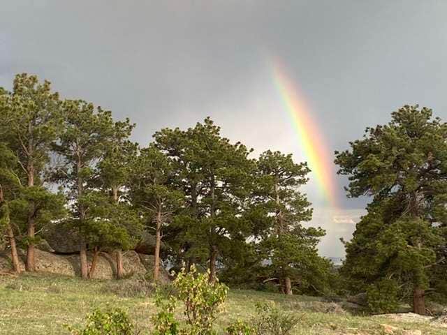 Camper-submitted photo at Logan Ranch Campground near Buford, WY