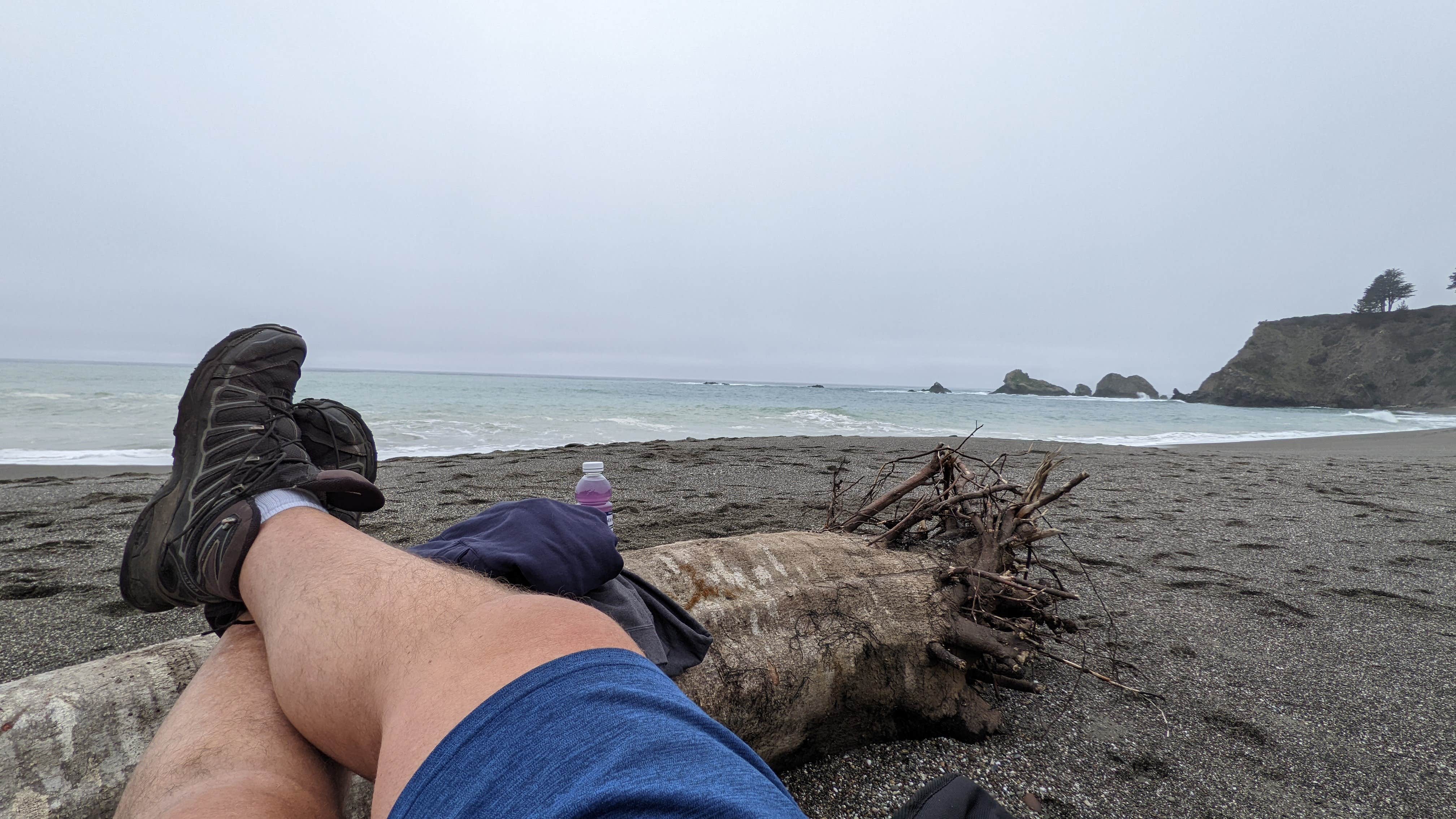Camper submitted image from Navarro Beach - Navarro River Redwoods State Park - 4