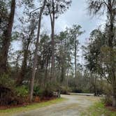 Review photo of Stephen Foster Folk Culture Center State Park Campground by Steve G., February 15, 2022