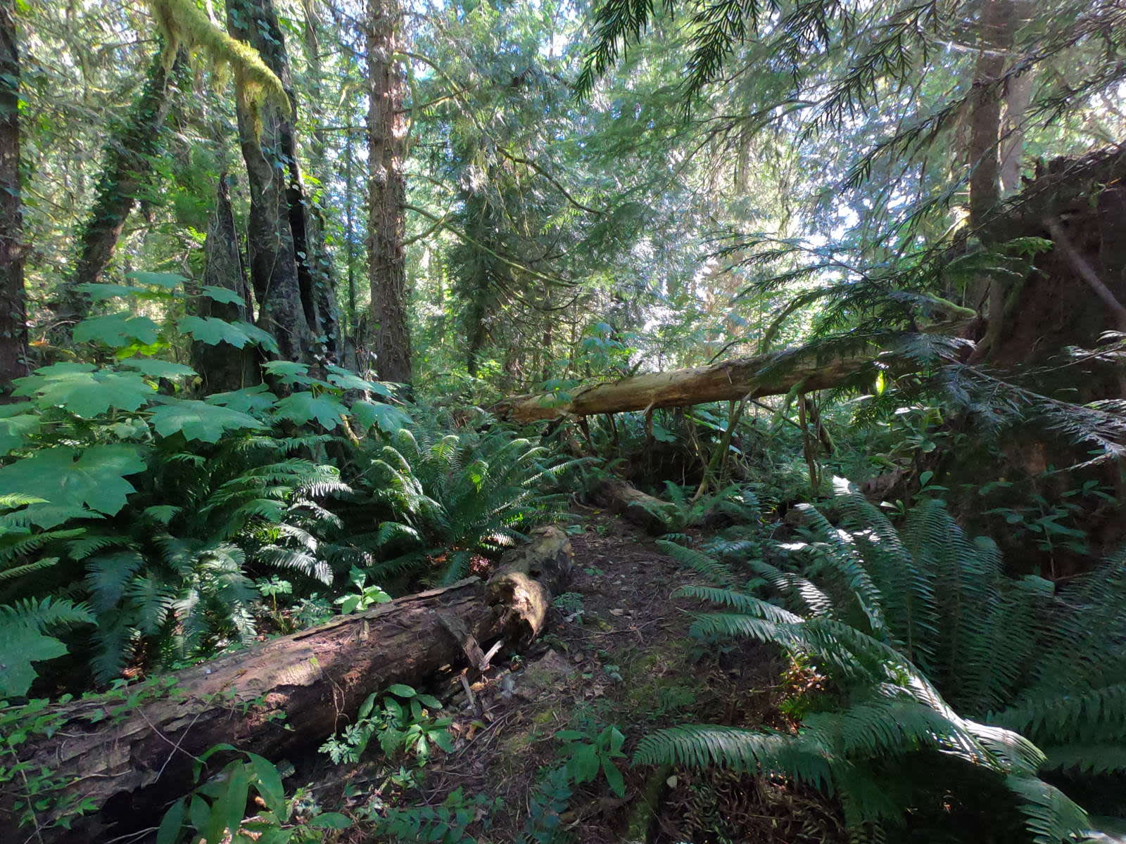 Camper-submitted photo at Hollyhock Farm near Everett, WA