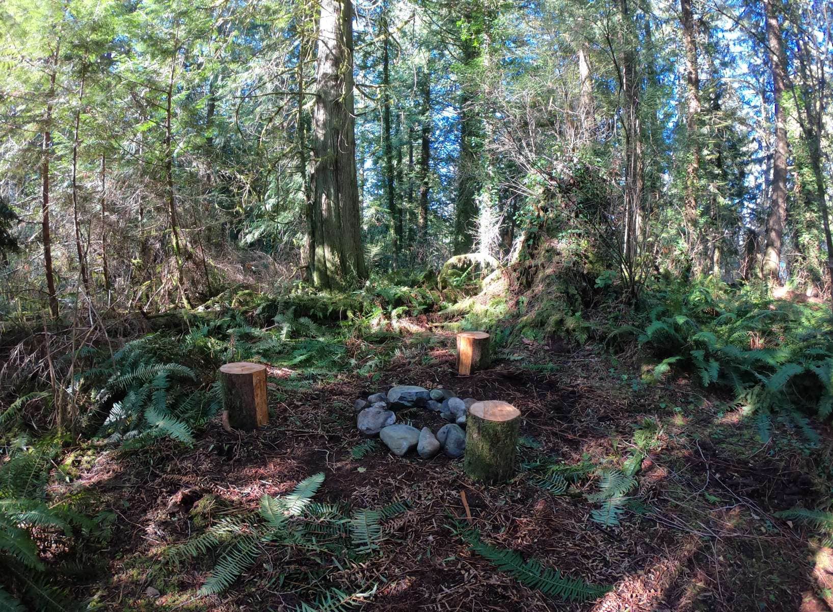 Camper-submitted photo at Hollyhock Farm near Everett, WA