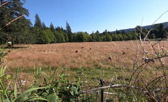 Camping near Thousand Trails Thunderbird: Hollyhock Farm, Duvall, Washington