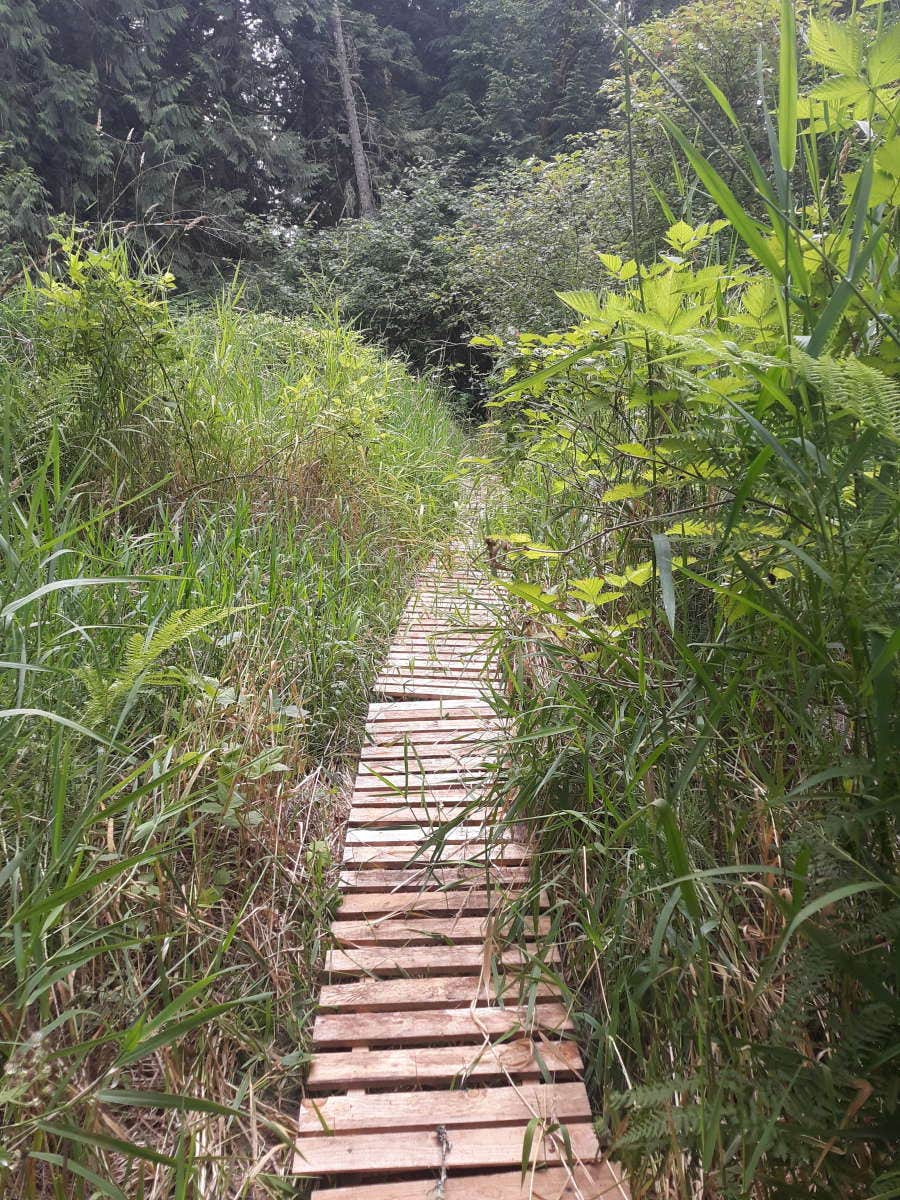 Camper-submitted photo at Hollyhock Farm near Everett, WA