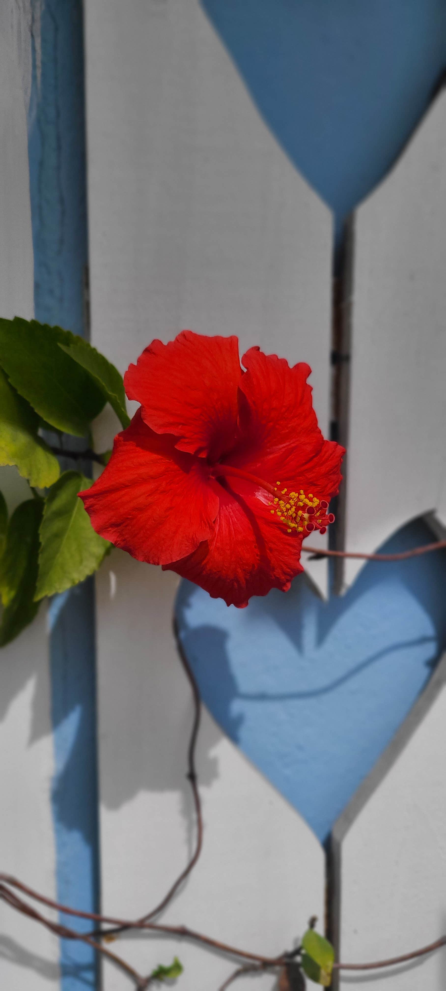 Camper-submitted photo at Southern Comfort RV Resort near Biscayne National Park