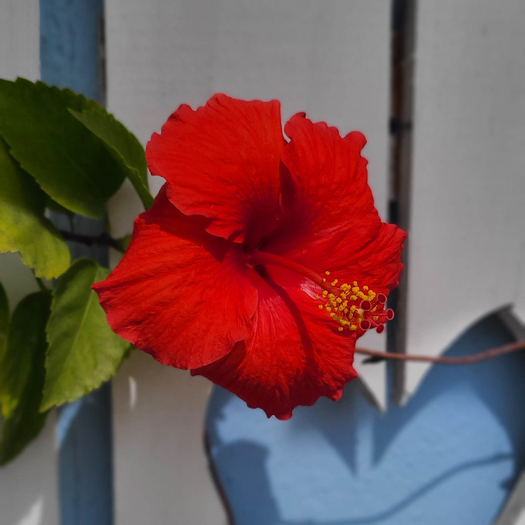 Southern Comfort RV Resort