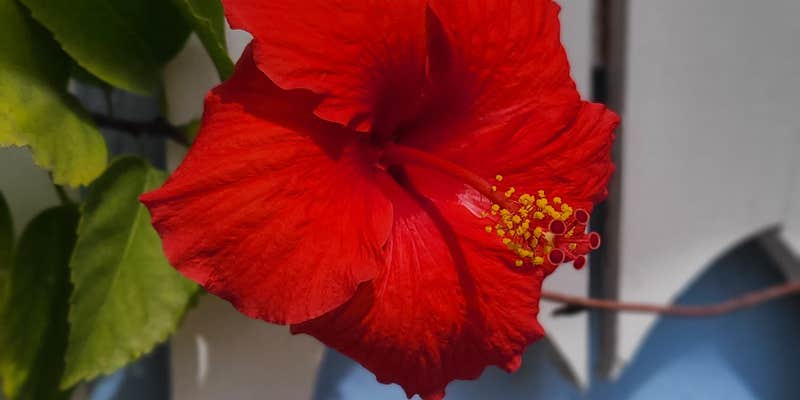 Camper submitted image from Southern Comfort RV Resort