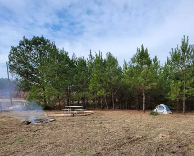 Camper submitted image from Piney Hills Campground - 1