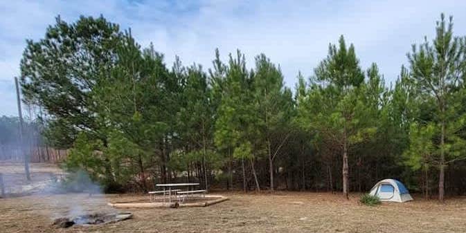 Camper submitted image from Piney Hills Campground