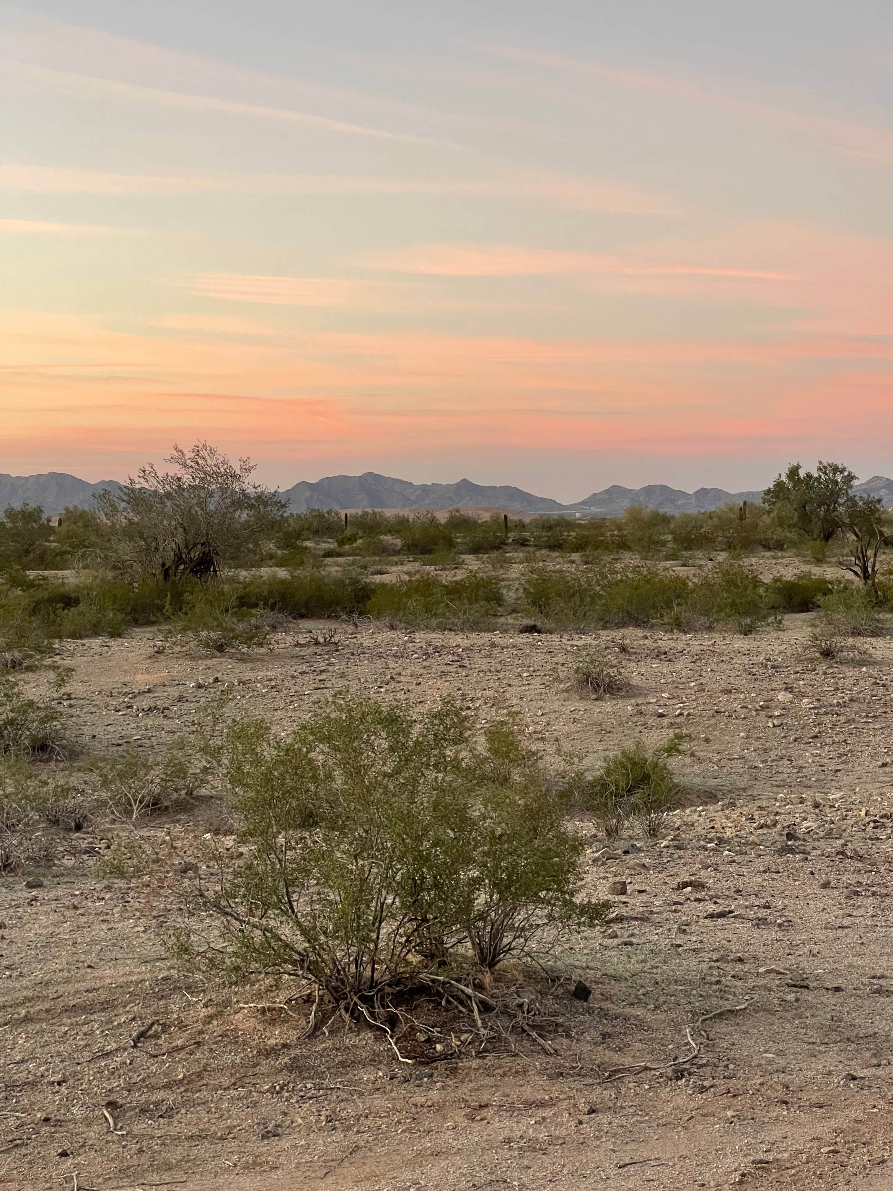 Camper-submitted photo at Margies Cove West Campground near Glendale, AZ