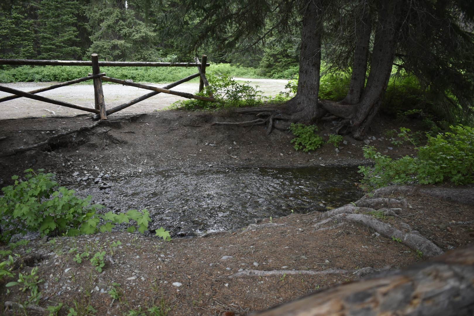 Camper-submitted photo at Upper Whitefish Campground near Trego, MT