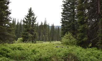Camping near Moose Lake: Upper Whitefish Campground, Stryker, Montana