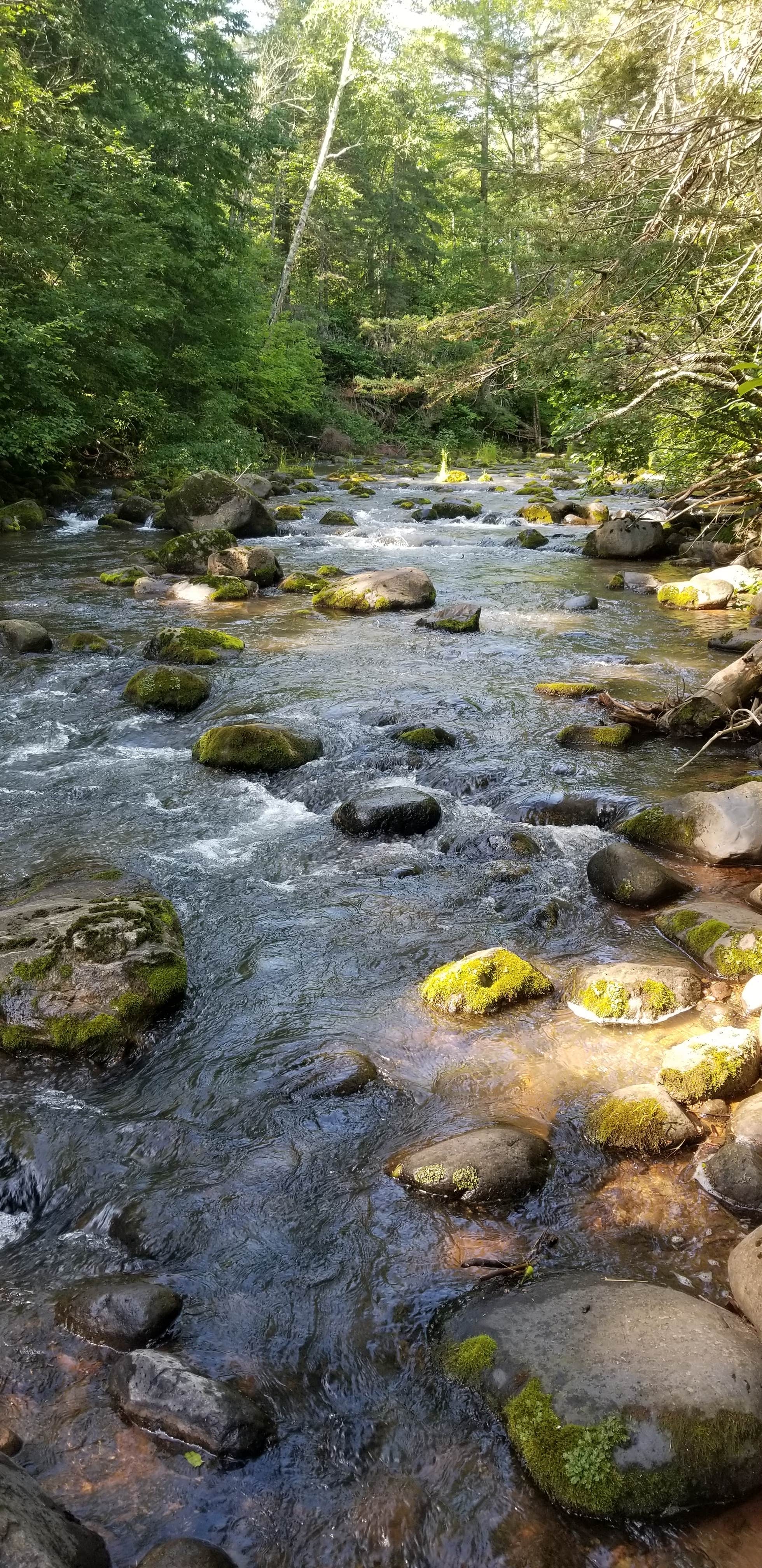 Camper submitted image from Bayfield County Big Rock Campground - 2