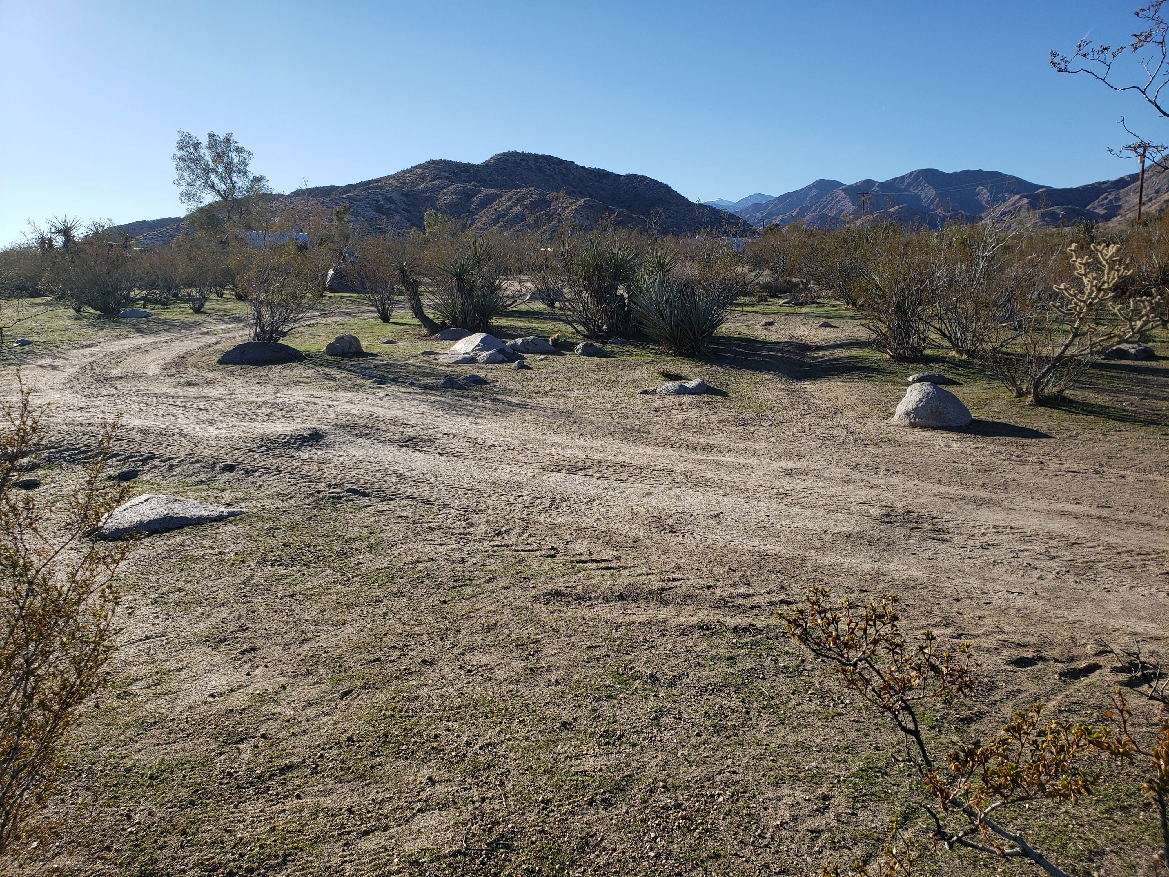 brad M.'s photo at Panoramic Desert Views near Yucca Valley, CA
