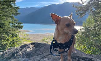 Jacob F.'s photo of camping with pets at Salmon La Sac near Easton, WA
