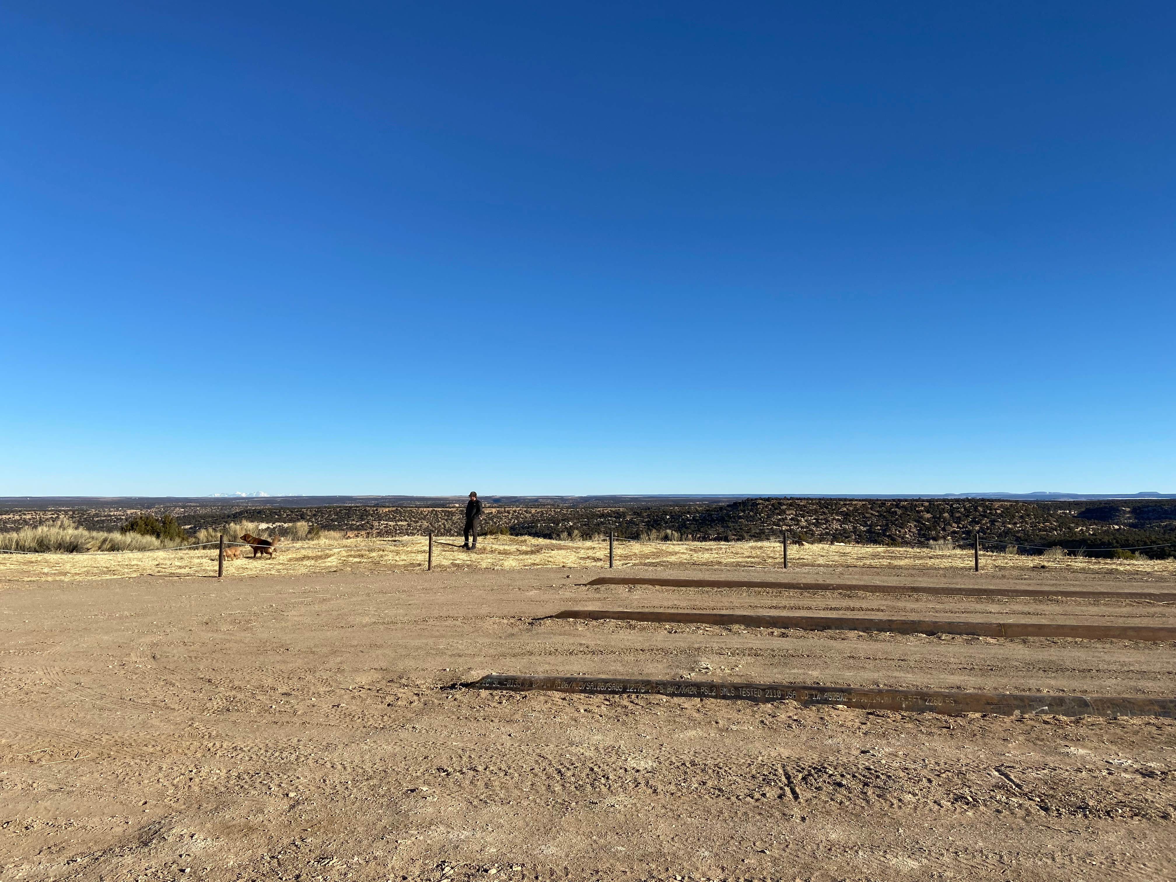 Camper submitted image from Canyons of the Ancients, Sand Canyon (Road 4725) - 5