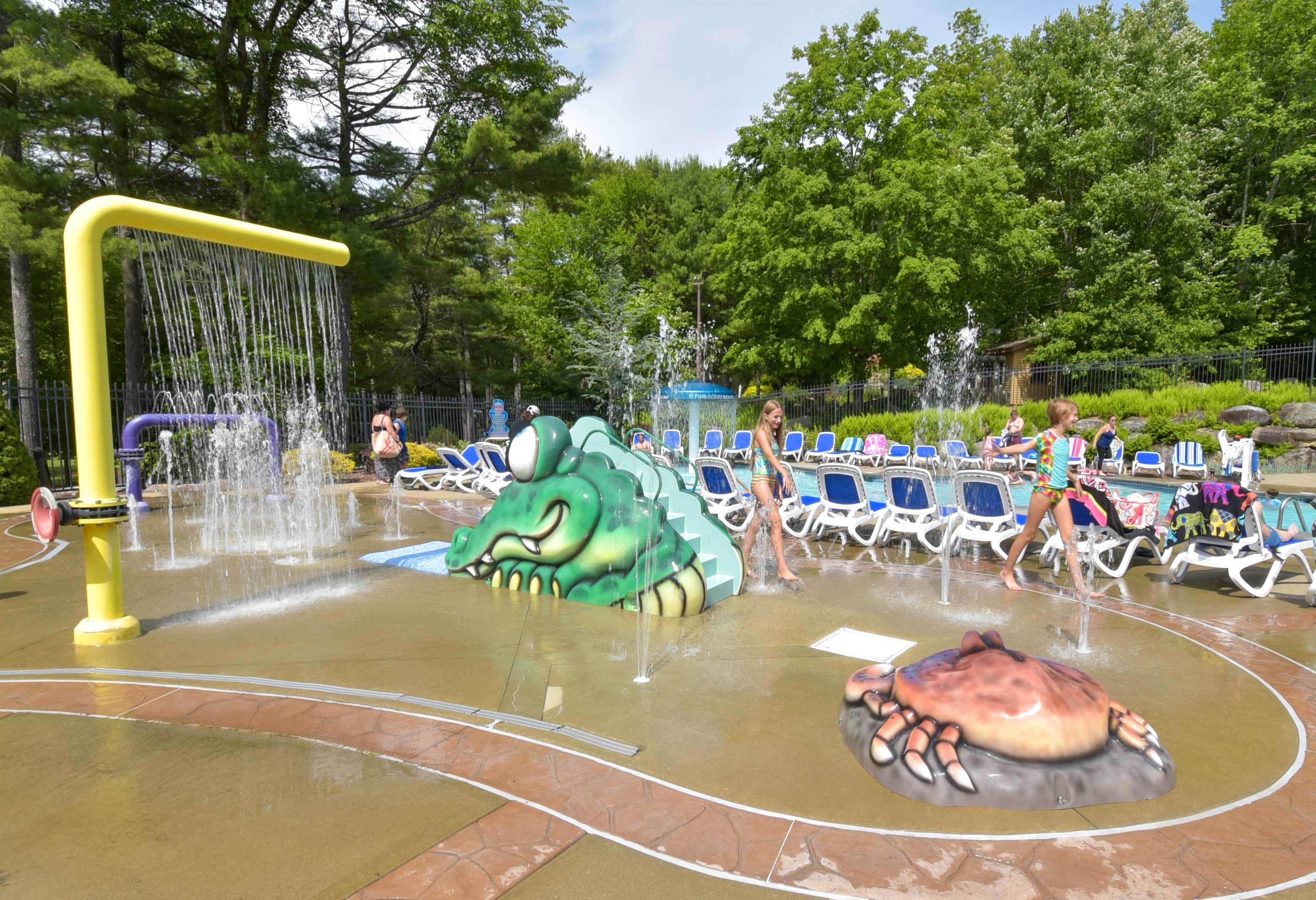 Camper-submitted photo at Pine Acres Family Camping Resort near Whately, MA