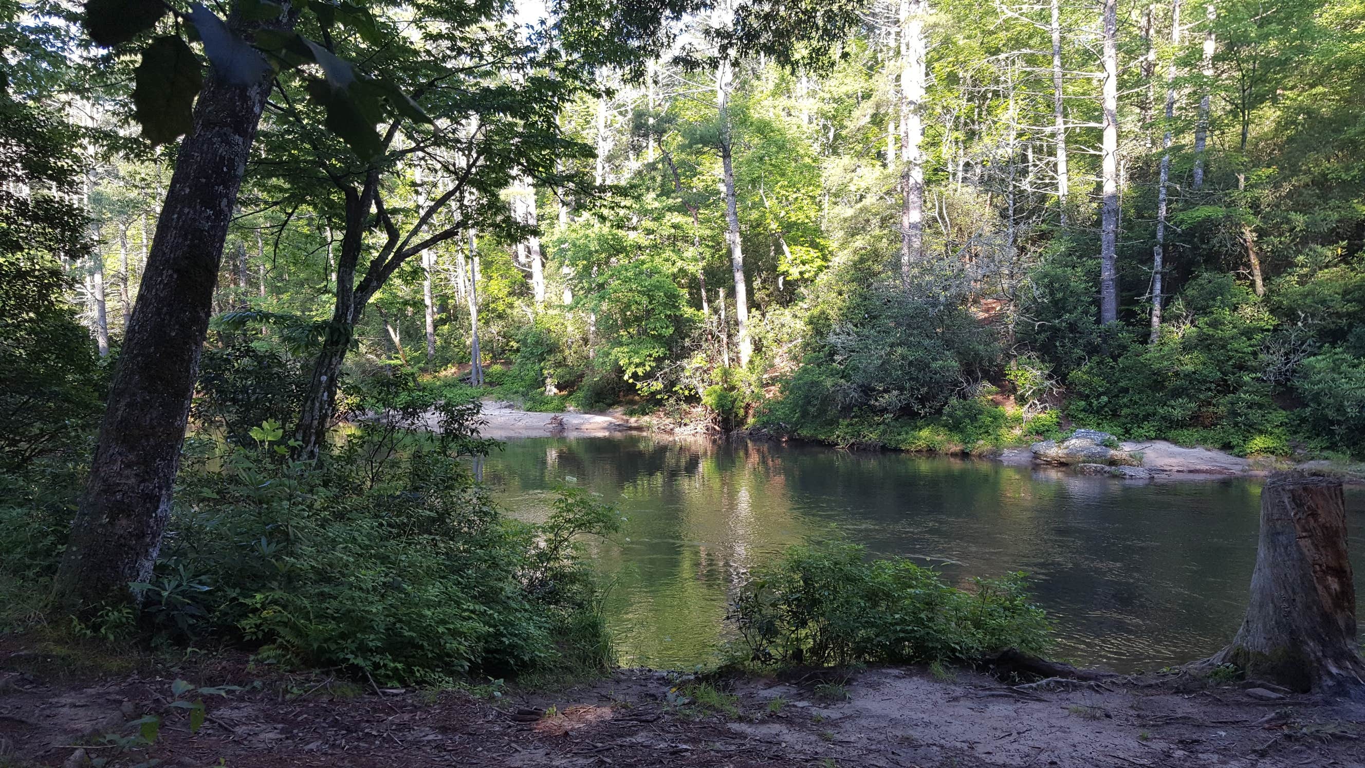 Camper-submitted photo at Burrells Ford near Balsam Grove, NC