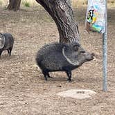 Review photo of Choke Canyon State Park Campground by Al L., January 29, 2022