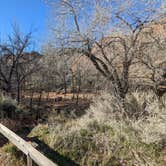 Review photo of Red Cliffs Campground by Greg L., February 18, 2022