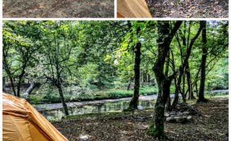 Fancy's photo at Fancy Hill Cabins and RV Park LLC near Kirby, AR