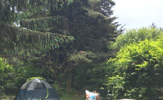 Jeremy A.'s photo at Cape Blanco State Park Campground near Sixes, OR