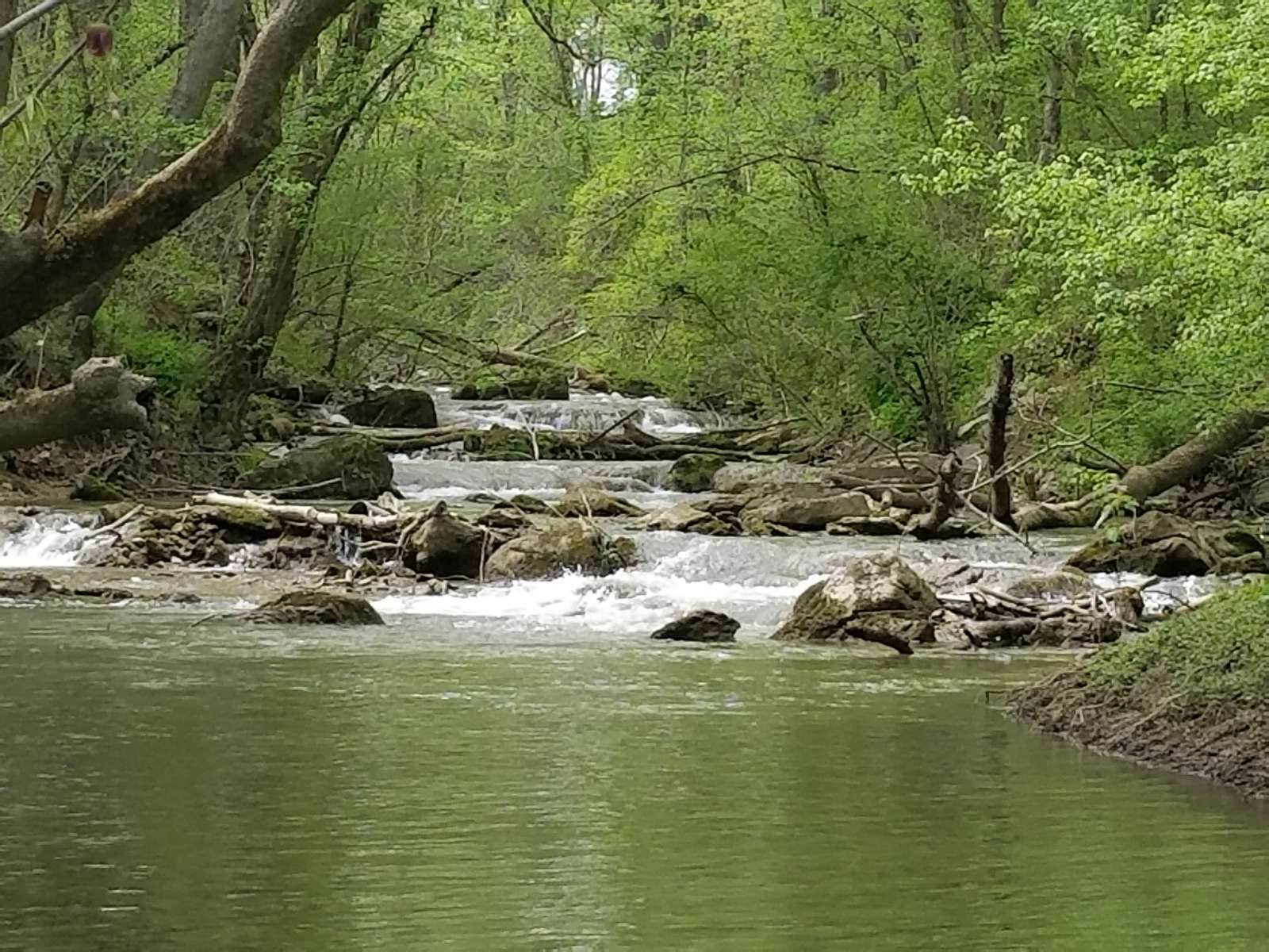 Camper-submitted photo at Shenandoah Adventures near Rippon, WV