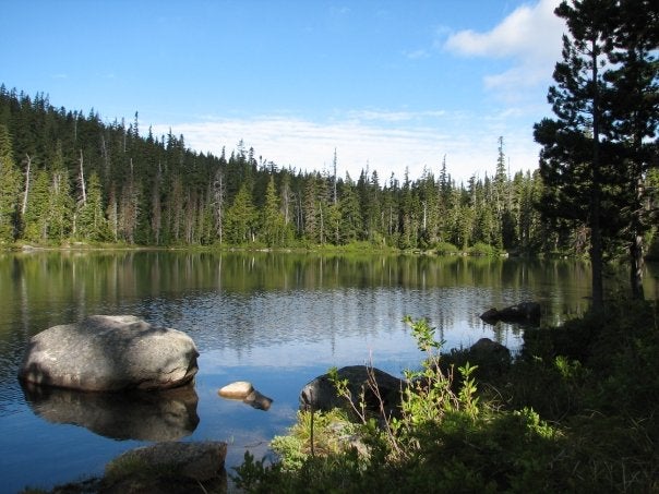 Camper submitted image from Horseshoe Lake (Olallie) Campground - Closed - 3