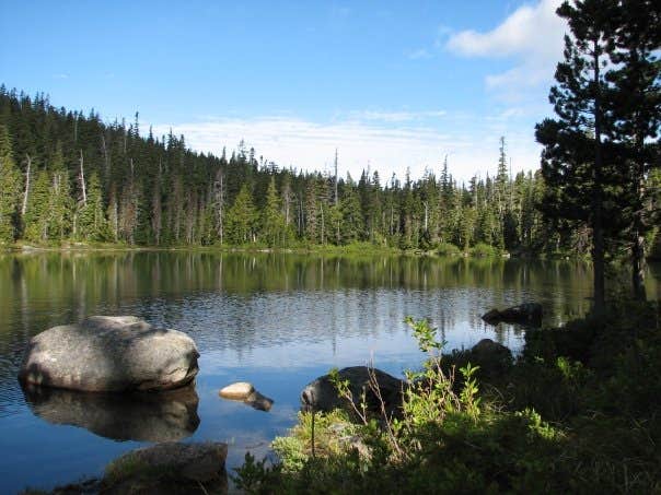 Horseshoe Lake (Olallie) Campground | The Dyrt