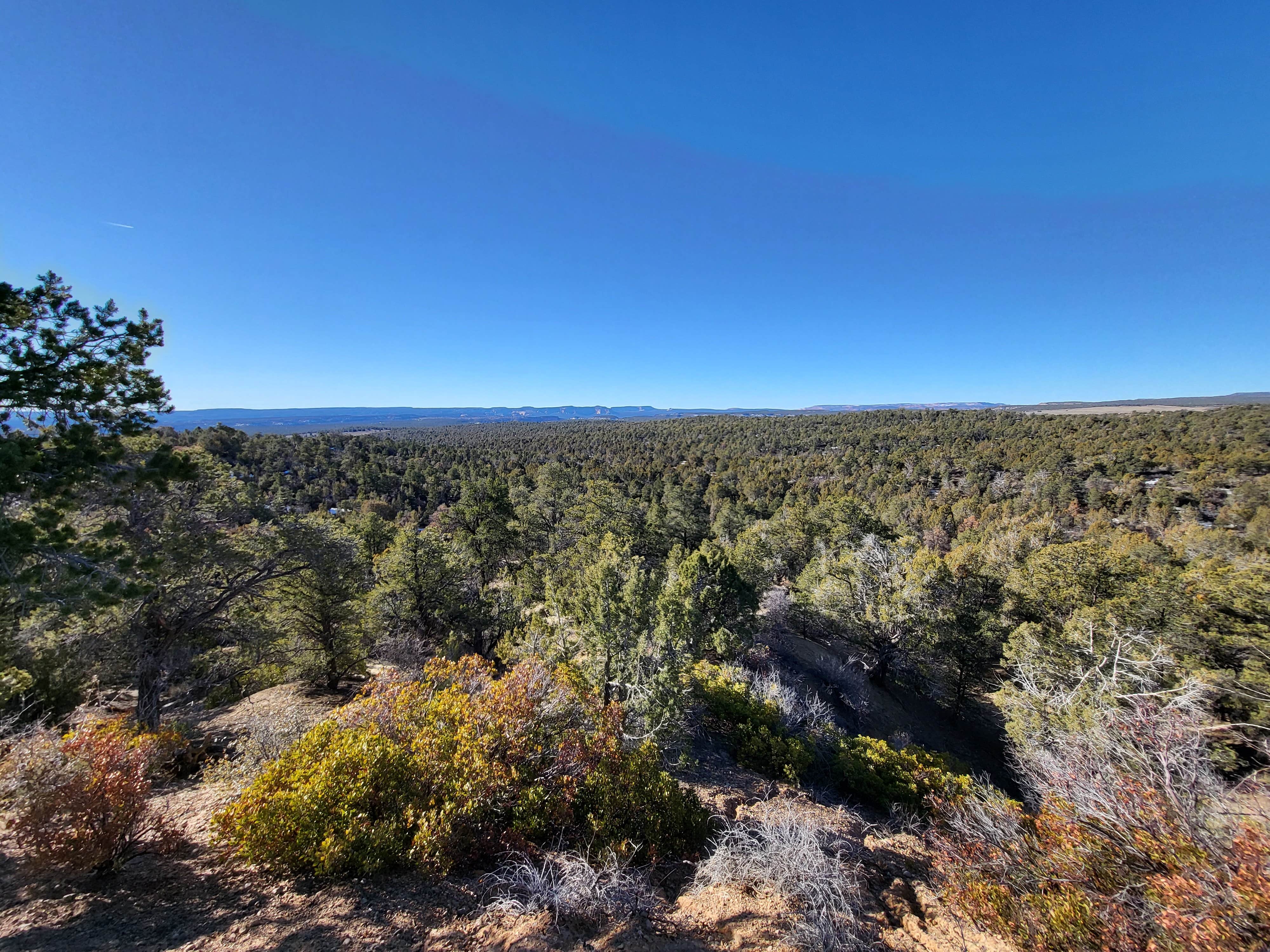 Camper submitted image from Zion Scenic Byway Dispersed - BLM - 2