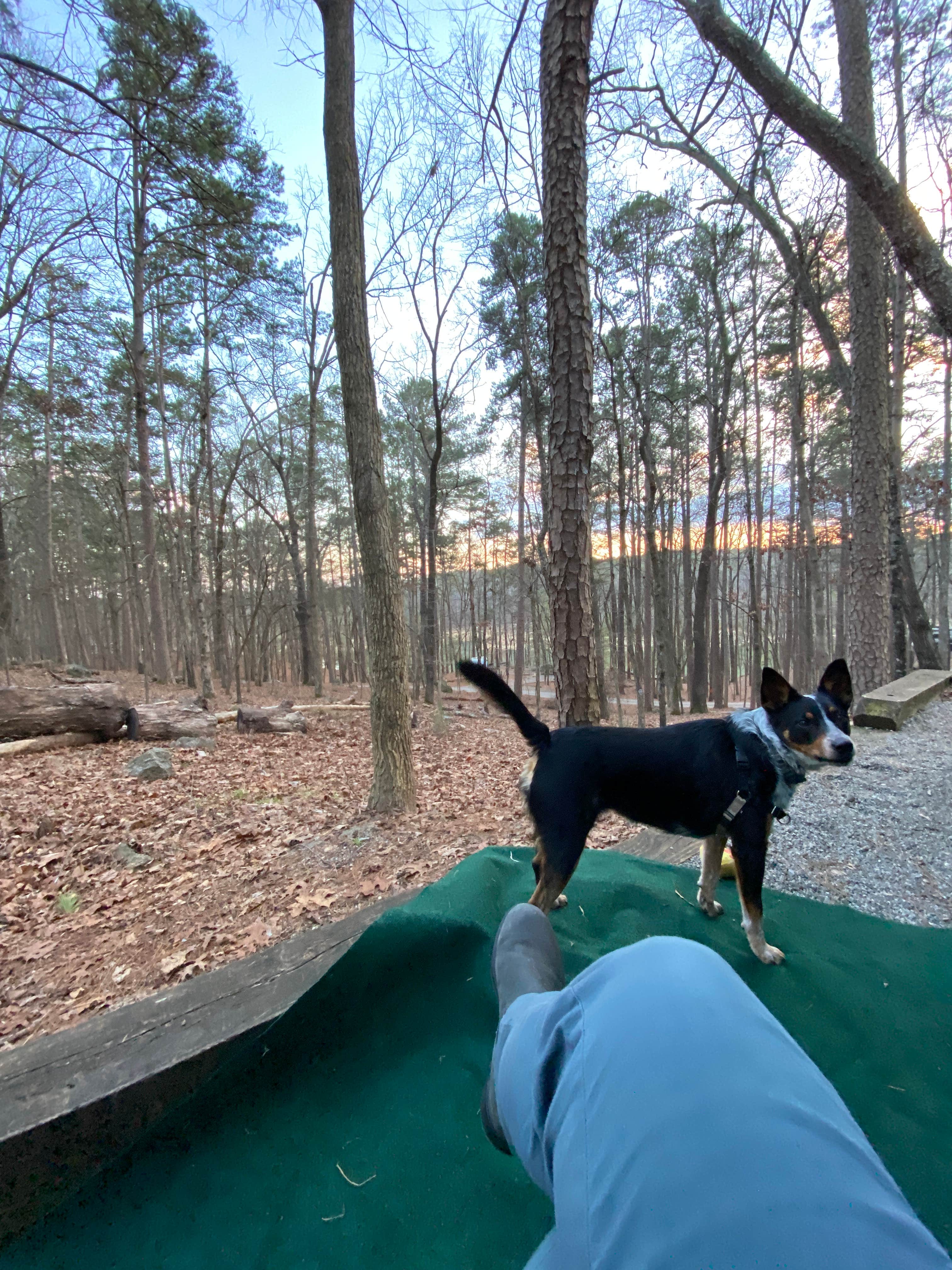 Shelby T.'s photo of camping with pets at Red Top Mountain State Park Campground near Stone Mountain, GA