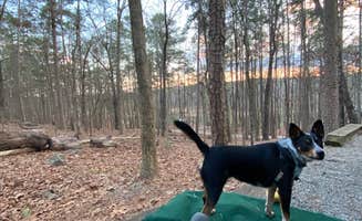 Shelby T.'s photo of camping with pets at Red Top Mountain State Park Campground near Acworth, GA