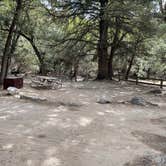Review photo of Bonita Canyon Campground — Chiricahua National Monument by donna H., February 19, 2022