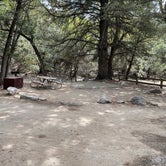 Review photo of Bonita Canyon Campground — Chiricahua National Monument by donna H., February 19, 2022