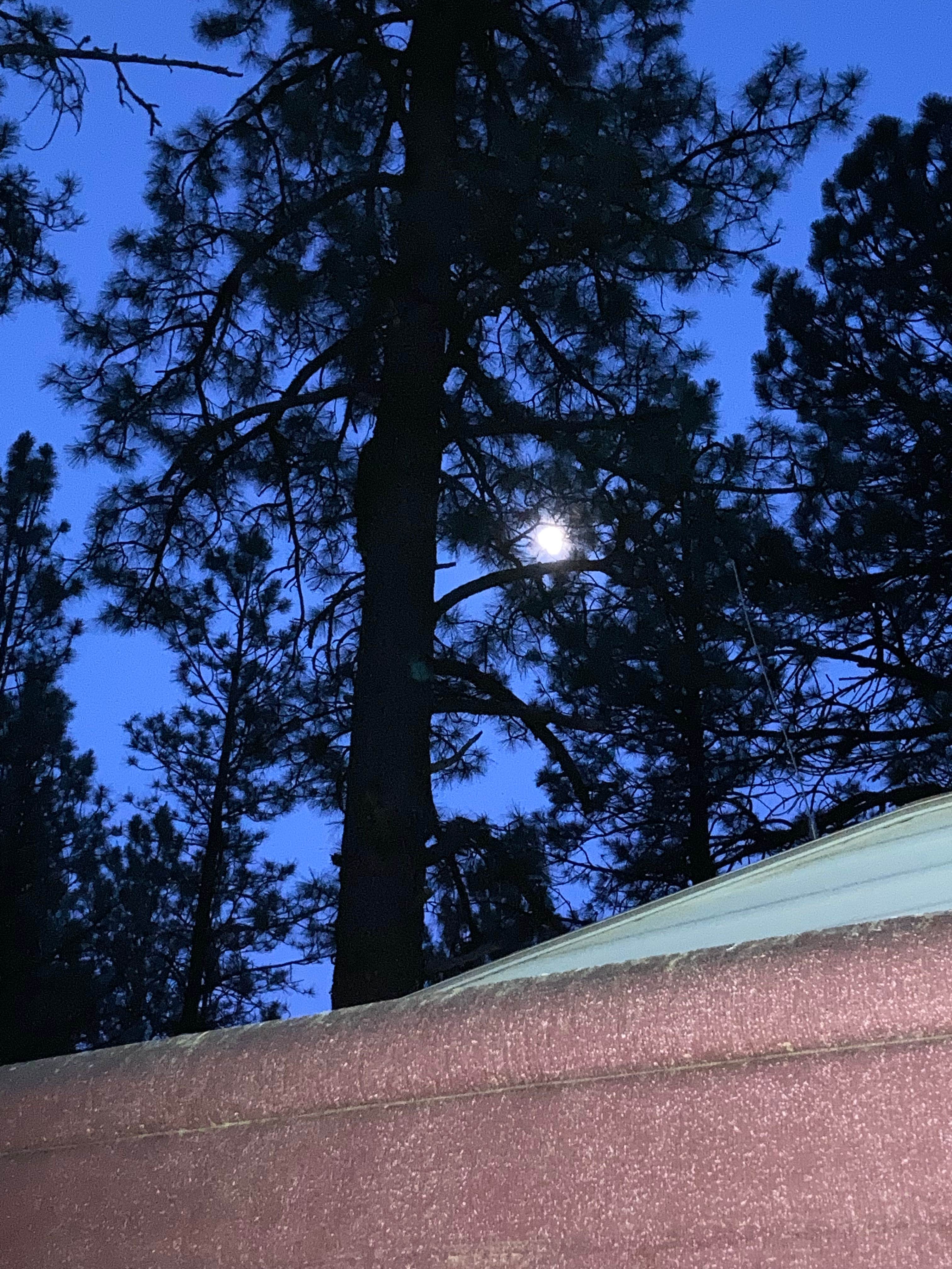 Camper-submitted photo at Pendaries RV Resort near Sapello, NM