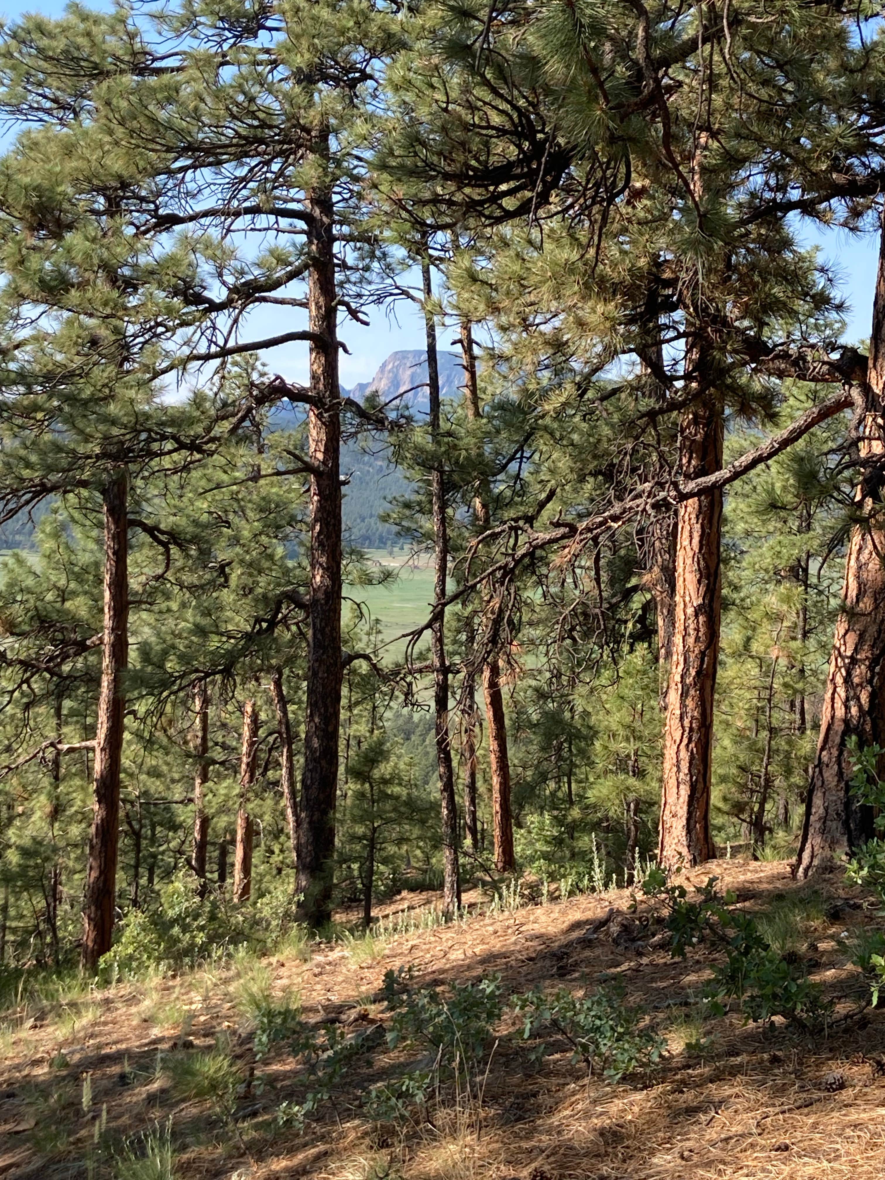 Camper-submitted photo at Pendaries RV Resort near Sapello, NM