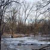 Review photo of MacQueen Forest Preserve by Nick C., February 20, 2022