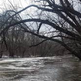 Review photo of MacQueen Forest Preserve by Nick C., February 20, 2022