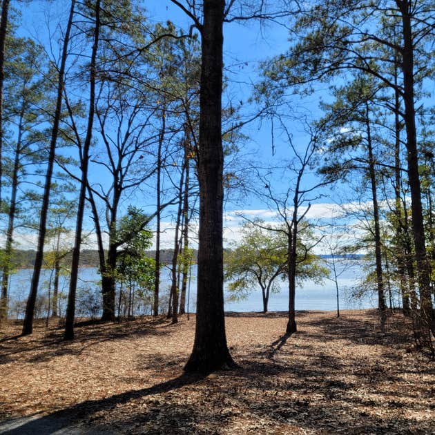 Cotton Hill Camping Fort gaines, GA