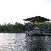 Review photo of Backcountry Lane Bay Chickee — Everglades National Park by Liz M., February 20, 2022