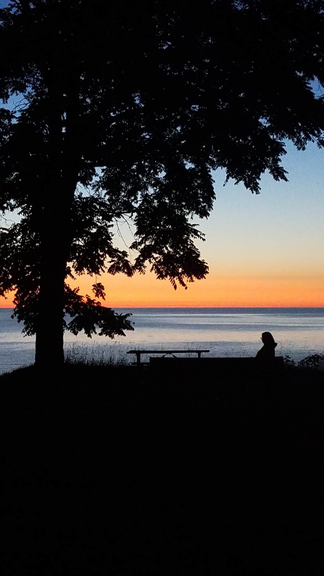 Camper-submitted photo at Lake Erie State Park Campground near North Collins, NY