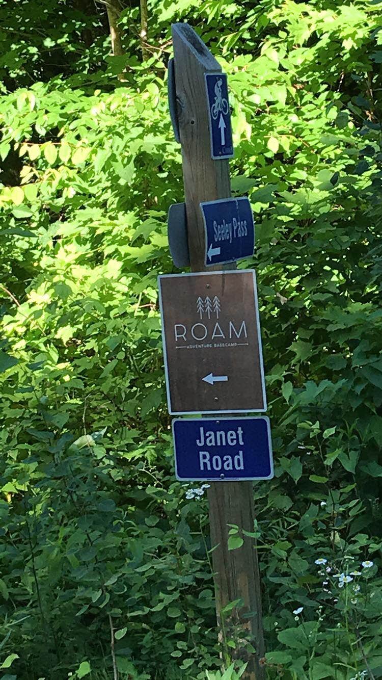 Signs & Maps