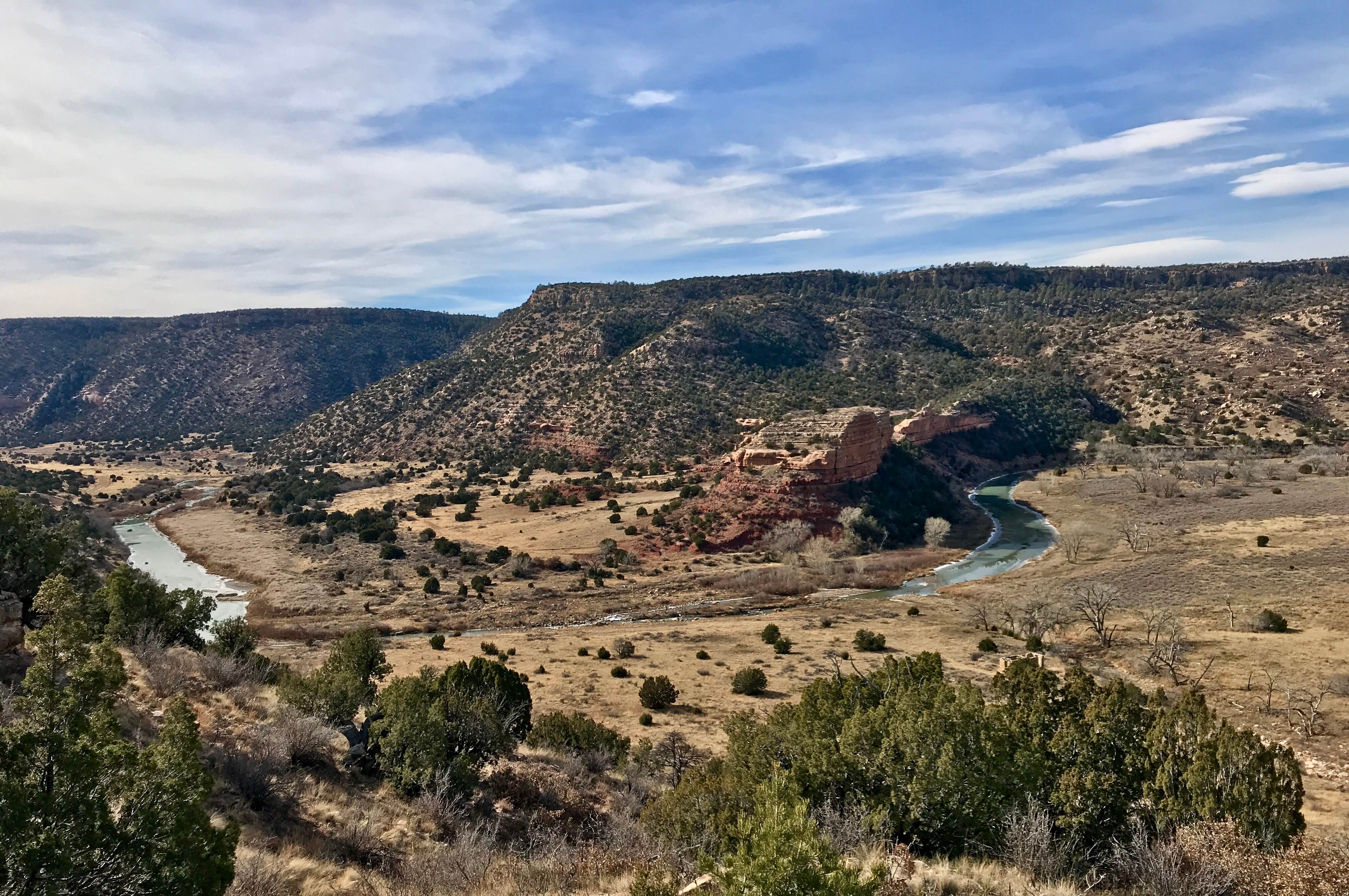 Camper submitted image from Mills Canyon Campground - 5