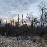 Review photo of Blue Hole Campground — Florida Caverns State Park by jessica O., February 20, 2022