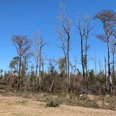 Review photo of Blue Hole Campground — Florida Caverns State Park by jessica O., February 20, 2022