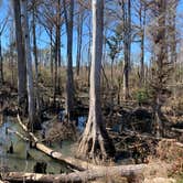 Review photo of Blue Hole Campground — Florida Caverns State Park by jessica O., February 20, 2022