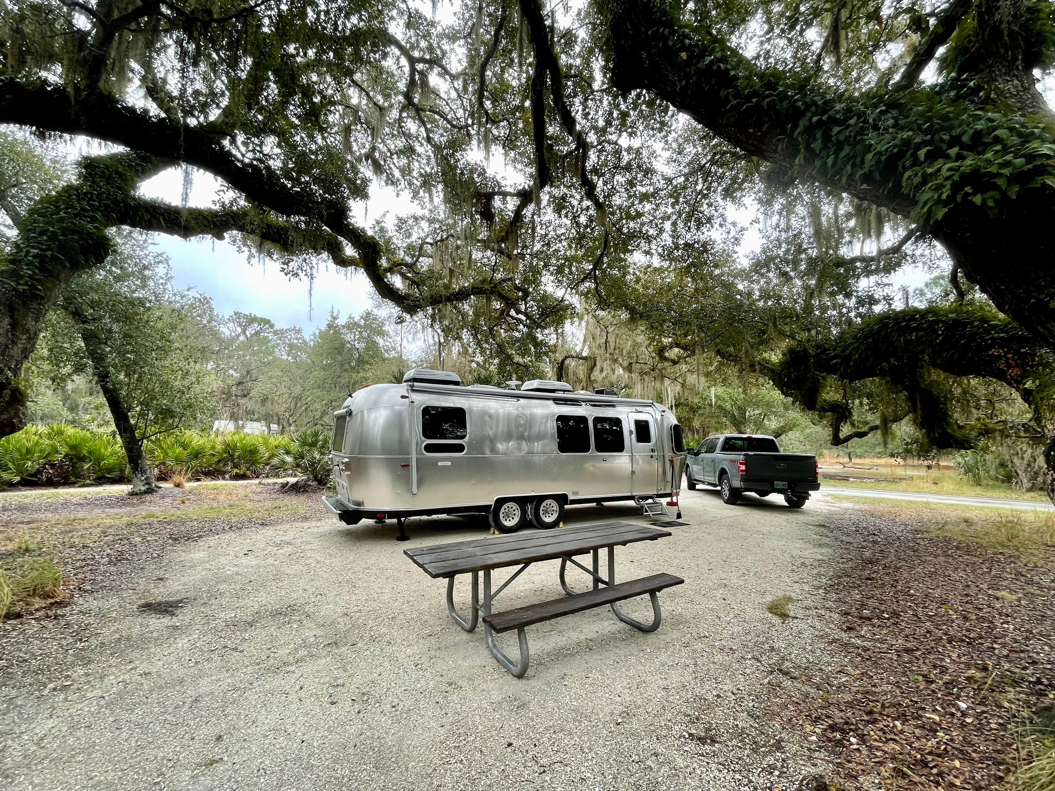 Darlene W.'s photo at Lake Kissimmee State Park Campground near Dundee, FL