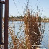 Review photo of Fortuna Pond - CLOSED by Beth M., February 20, 2022