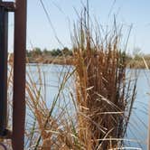 Review photo of Fortuna Pond - CLOSED by Beth M., February 20, 2022