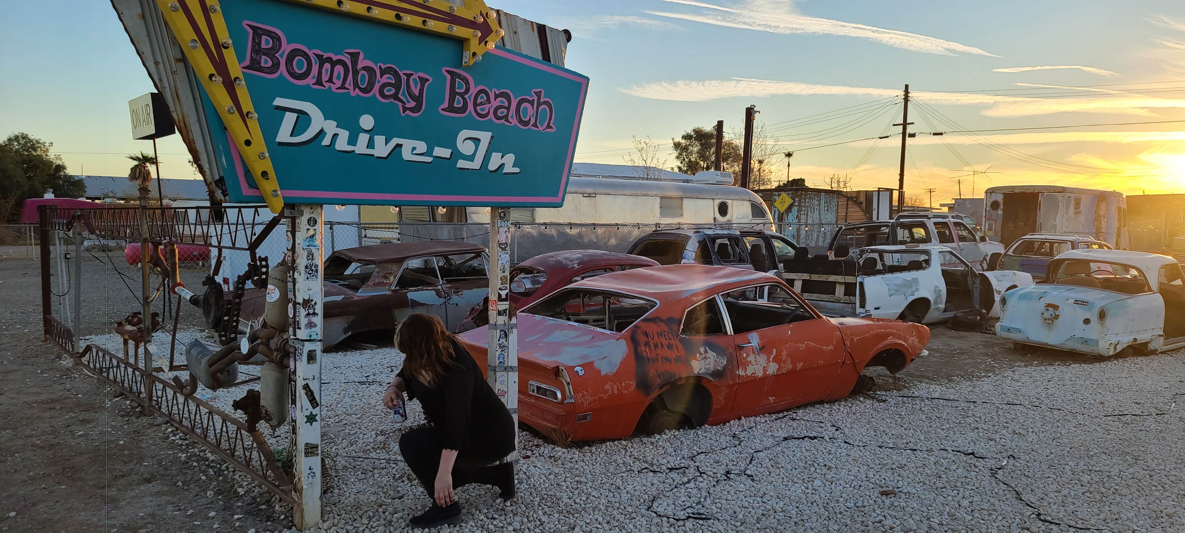 Camper submitted image from Bombay Beach - Salton Sea State Rec Area - 3